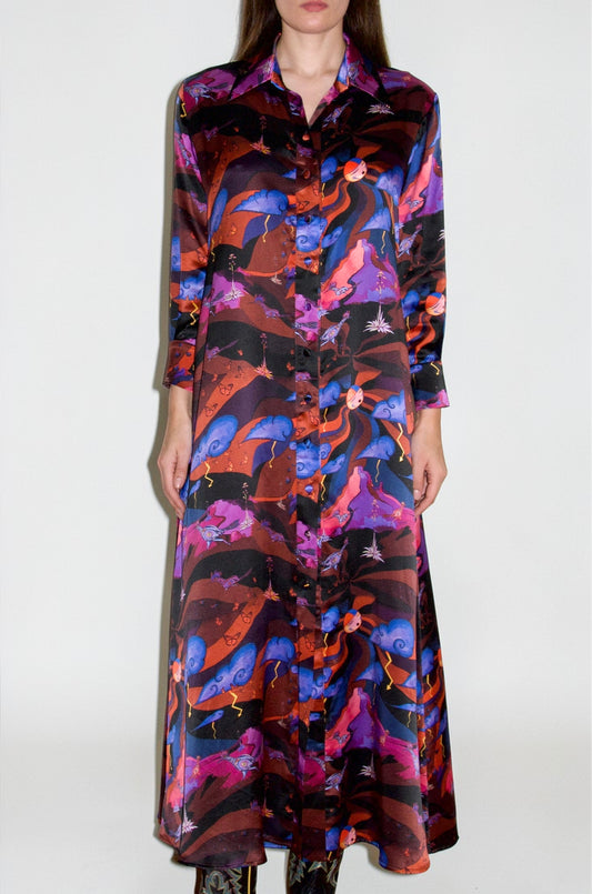 Shirt Dress - Roadrunner Purple