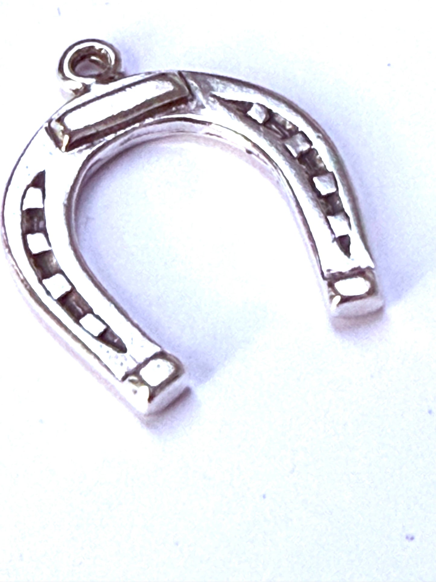 Horse shoe charm