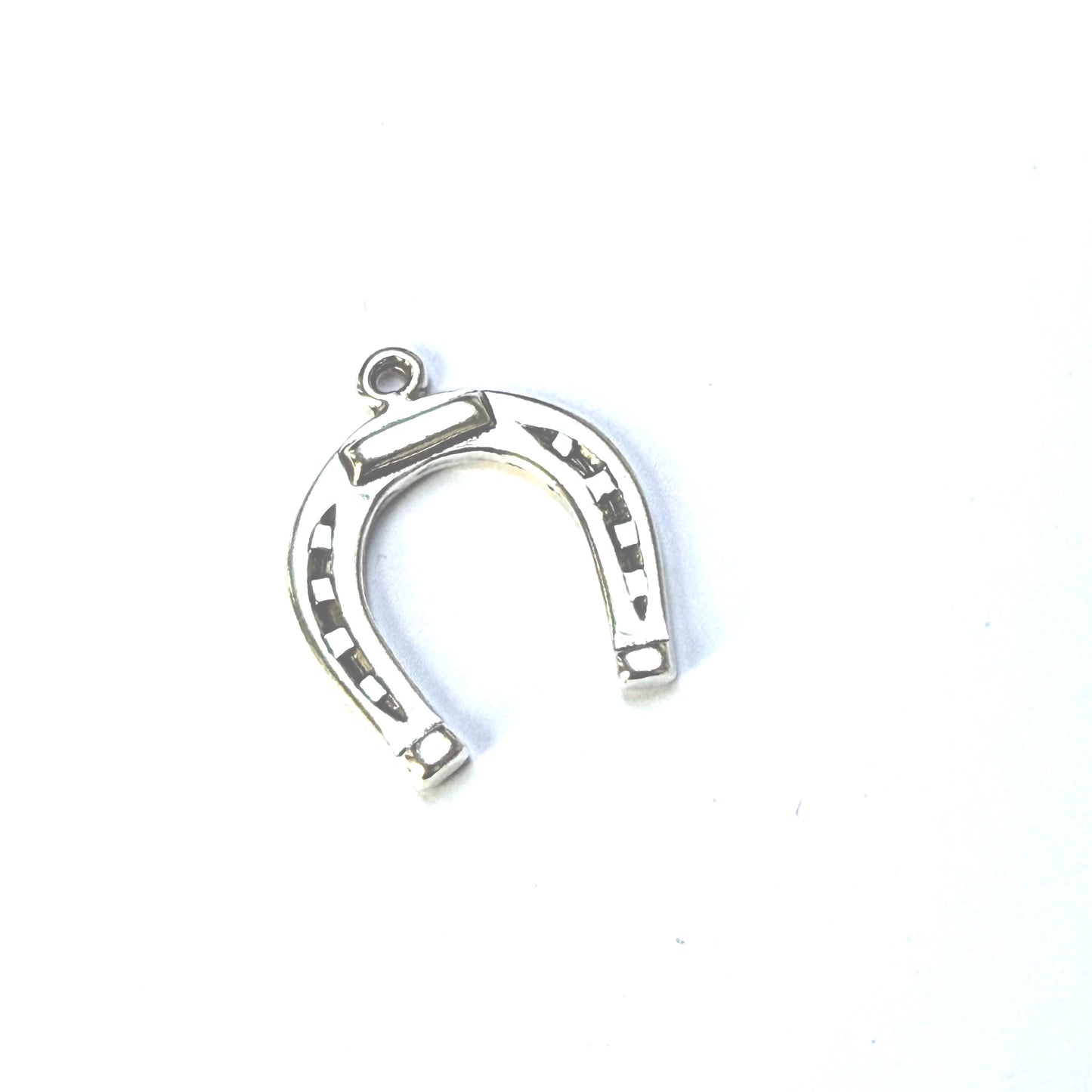 Horse shoe charm