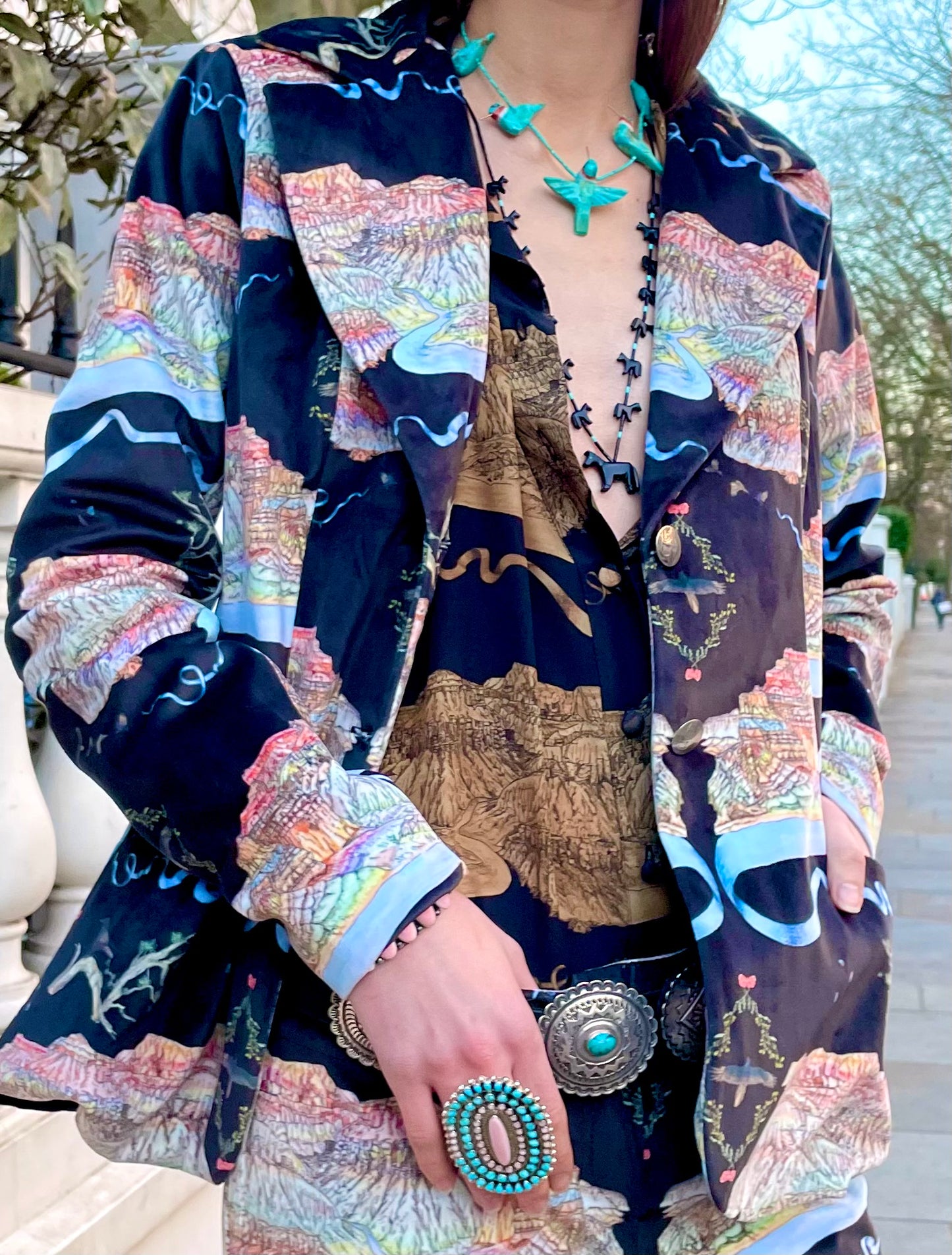 Velvet jacket mountain lion print