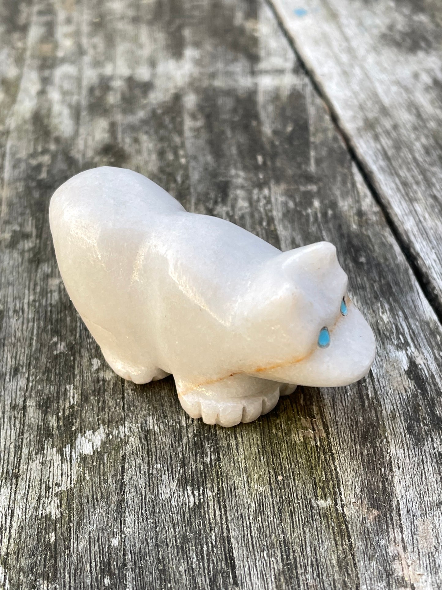 Medicine bear power animal