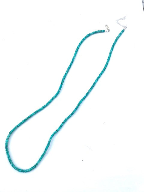 Turquoise long necklace