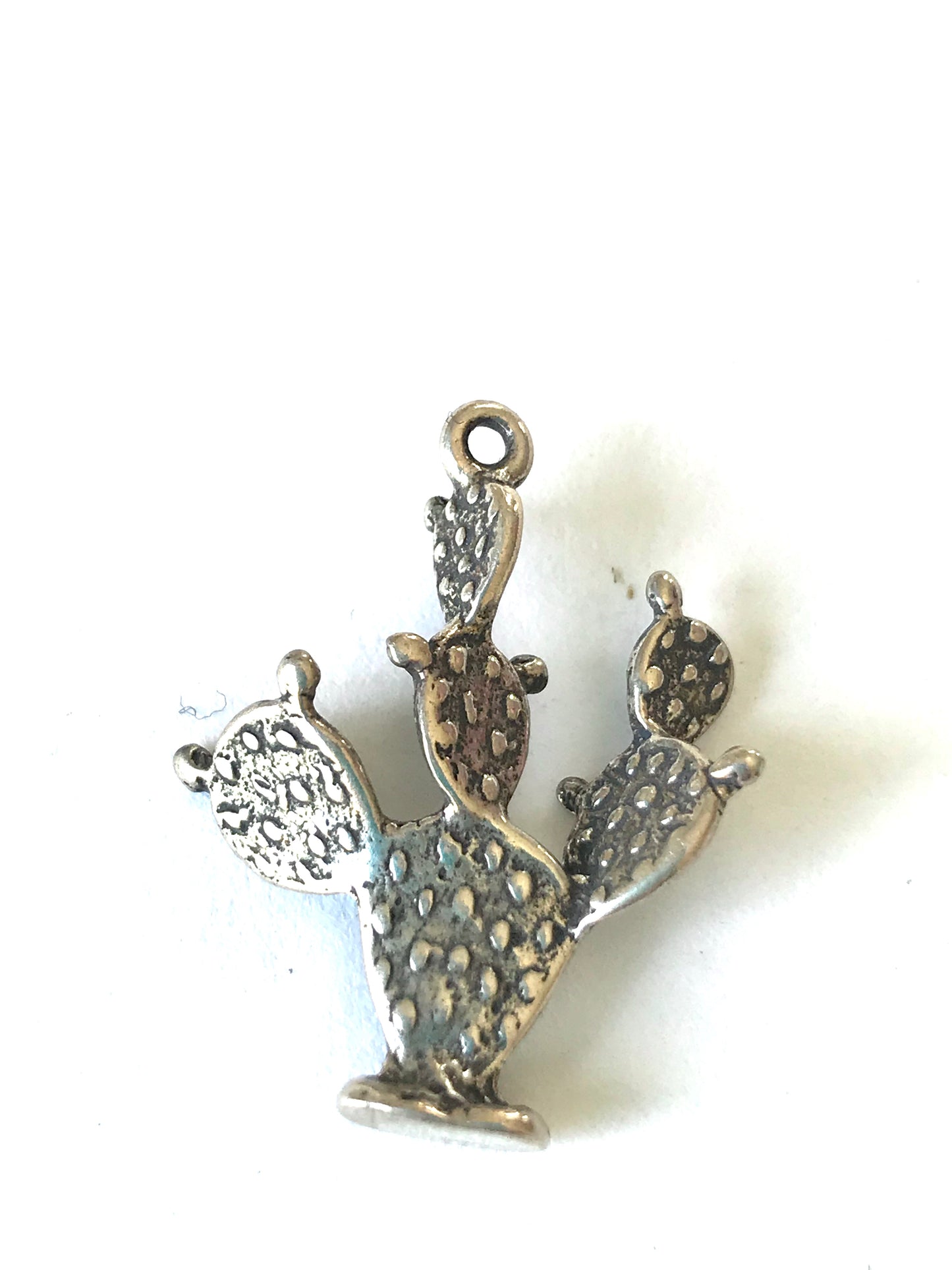 Cactus charm /pendent